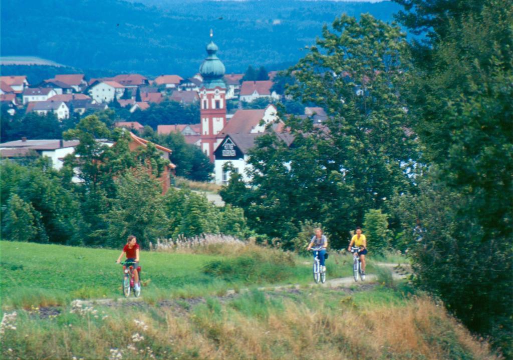 Hotel Zum Schwarzen Baeren Vohenstrauss Exterior foto